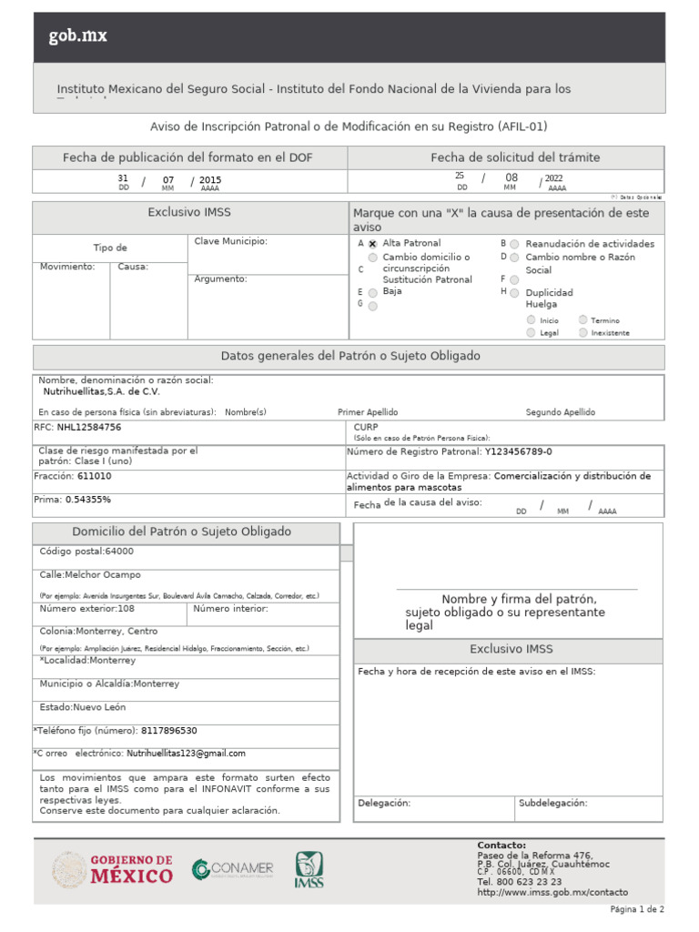 IMSS | PDF