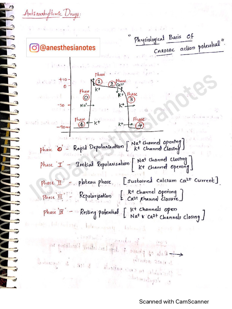 Anti Arrhythmic Drugs Notes | PDF