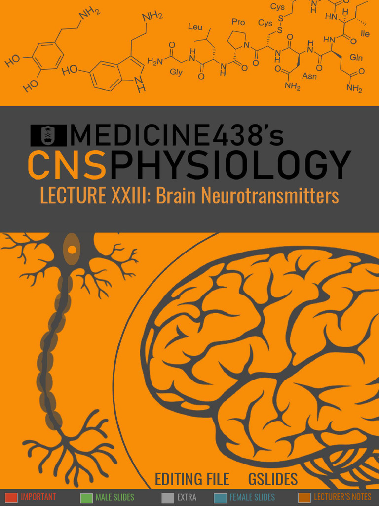 23rd Lecture - Brain Neurotransmitters - CNS Physiology | PDF ...