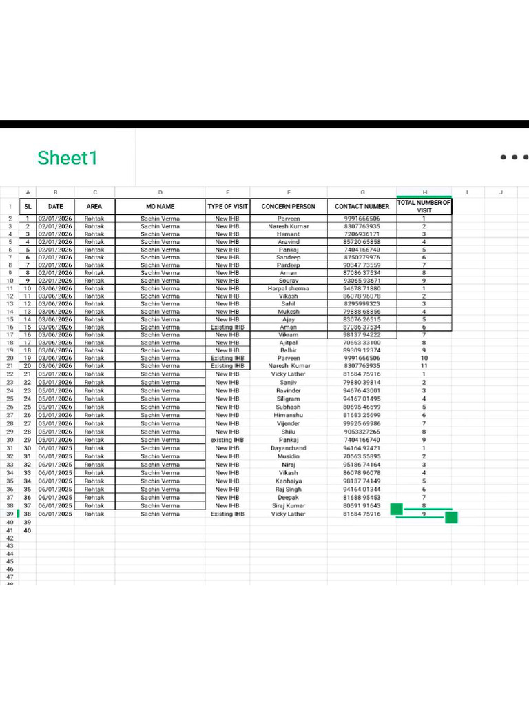 Daily Report | PDF
