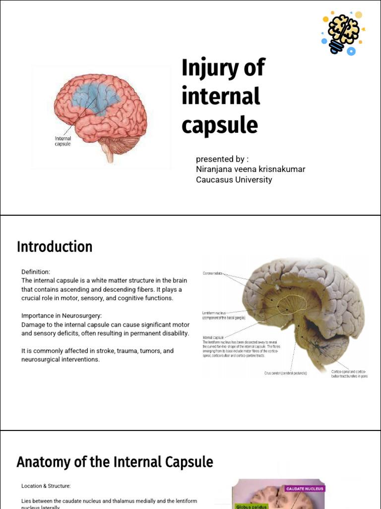 Injuries of Internal Capsule | PDF | Stroke | Nervous System