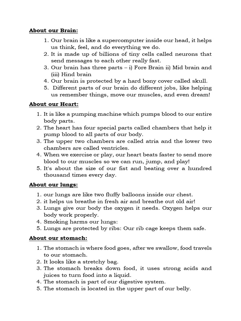 About Internal Body Parts | PDF