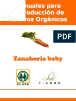 FIAGRO. Manual de Producción de Zanahoria Baby Orgánica