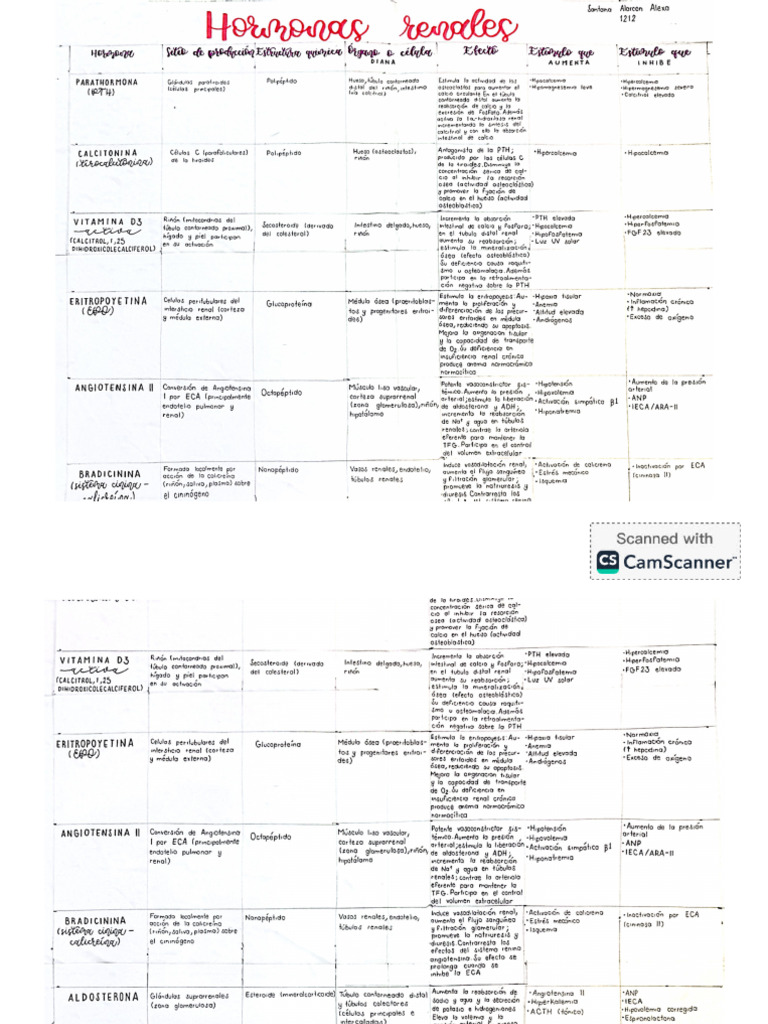 Cuadro Comparativo | PDF