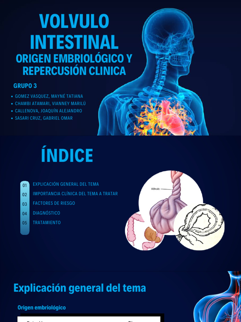 Vólvulo Intestinal | PDF | Medicina CLINICA | Enfermedades y trastornos