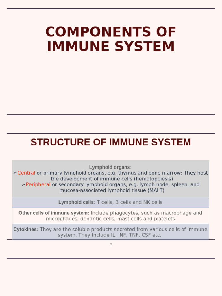 Components of Immune System | PDF | Lymphocyte | T Helper Cell