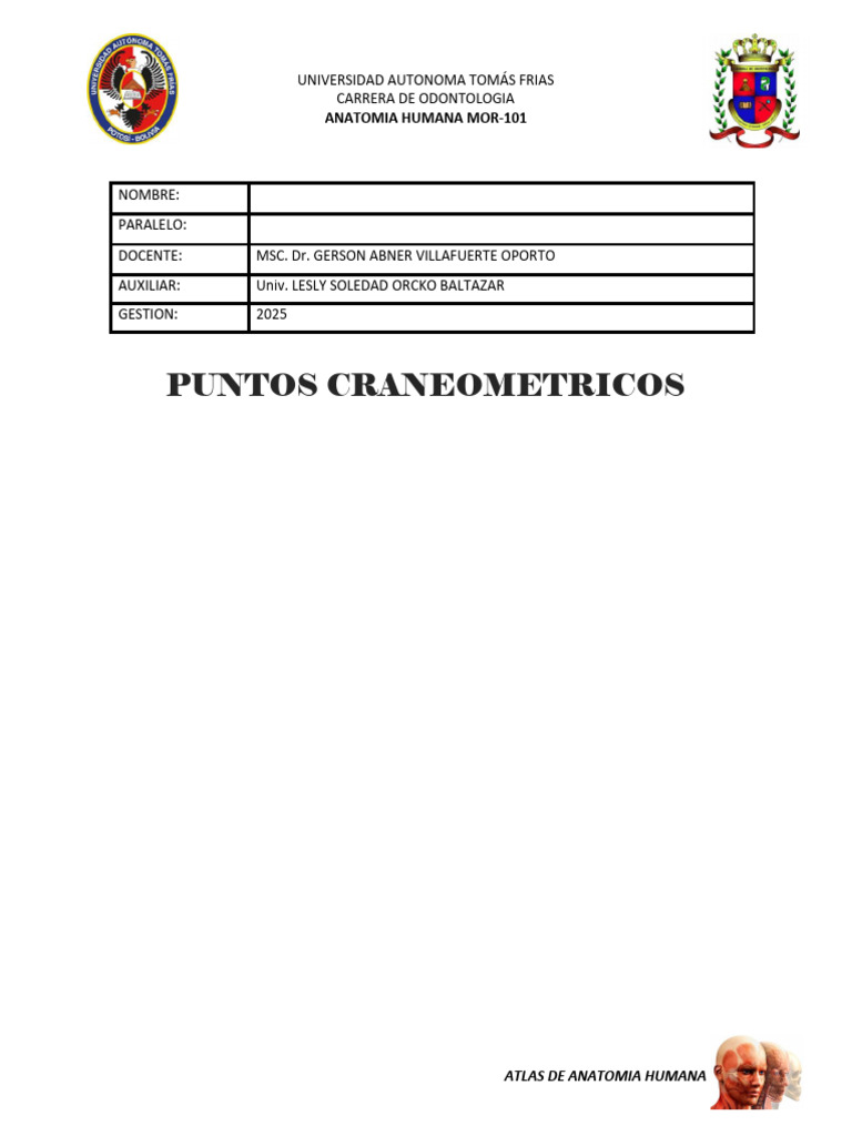 Atlas Final D | PDF | Anatomía humana | Anatomía de los primates