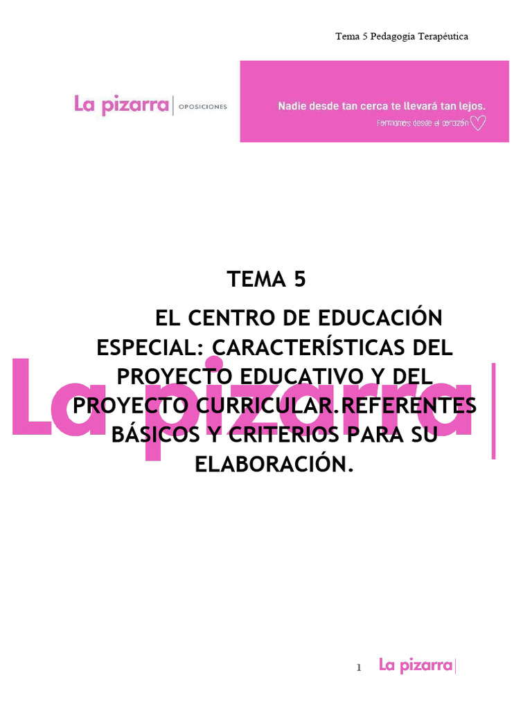 Tema 5 PT 25 | PDF | Educación especial | Plan de estudios