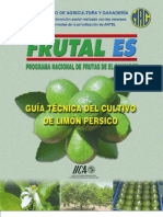 2002. IICA. Guía Técnica del Cultivo de Limón Pérsico