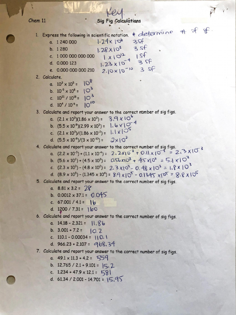 SF Worksheet Answer Key | PDF