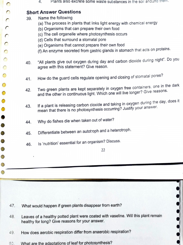 Life Processes Worksheet 29 Jan 2026 | PDF | Digestion | Stomach