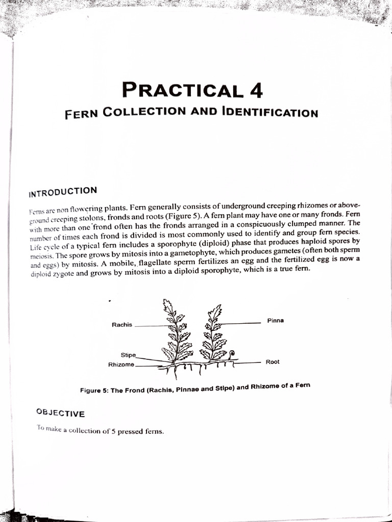 Gallery Detail: Weed Science Lab Manual