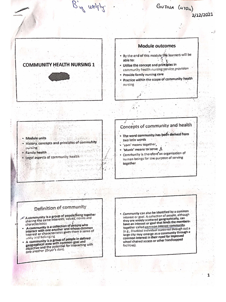 Community Health Nursing 1 | PDF