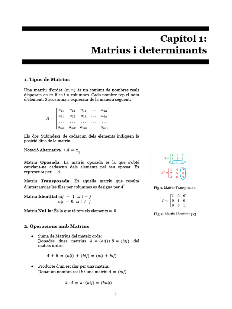 Matrius I Determinants | PDF