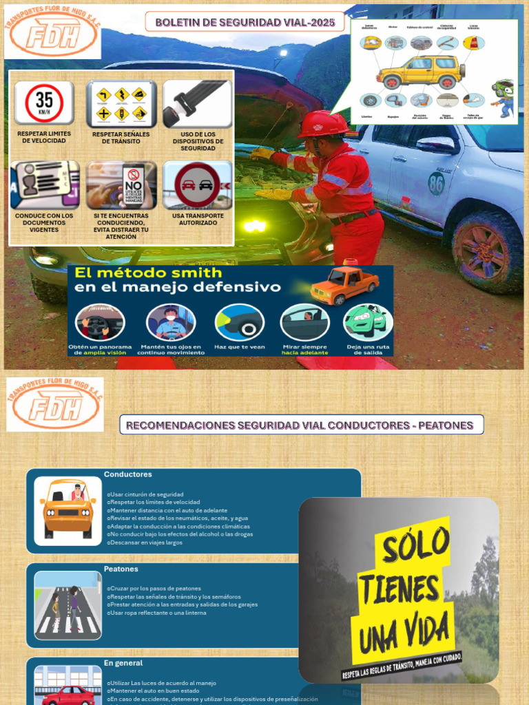 Boletin de Seguridad Vial TFDH | PDF