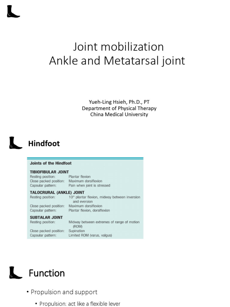 Ankle Mobilization 講義 - | PDF | Ankle | Foot