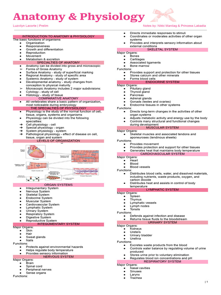Anaphy Prelim Notes | PDF | Anatomical Terms Of Location | Human Body