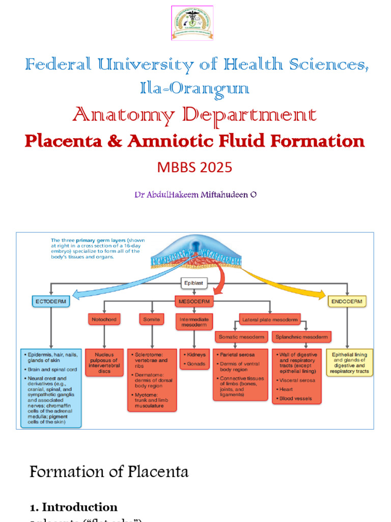 Placenta and Amniotic Fluid Mbbs | PDF | Placenta | Fetus