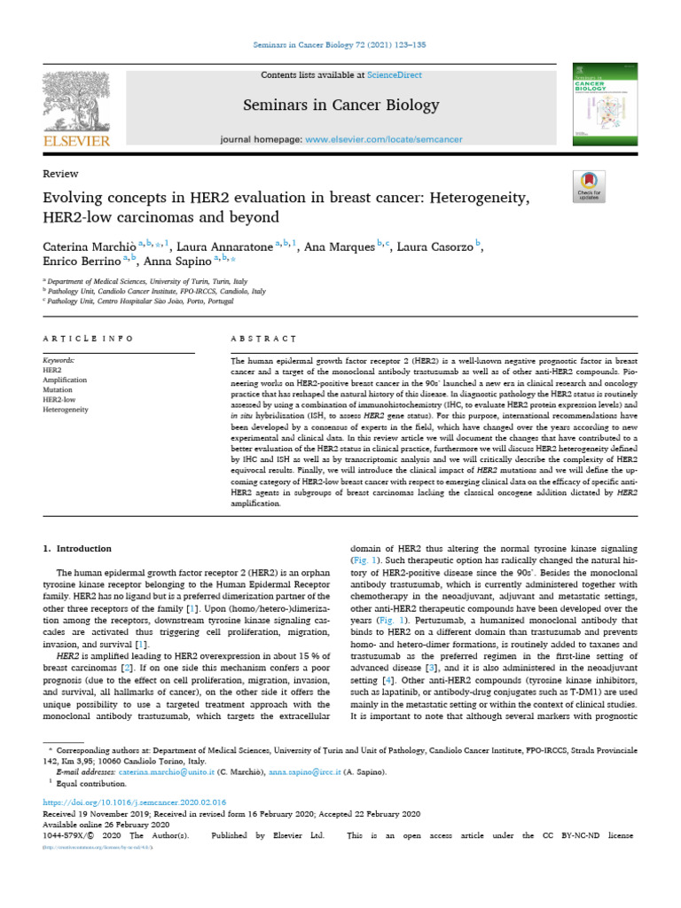 Evolving Concepts in HER2 Evaluation in Breast Cancer - Heterogeneity ...