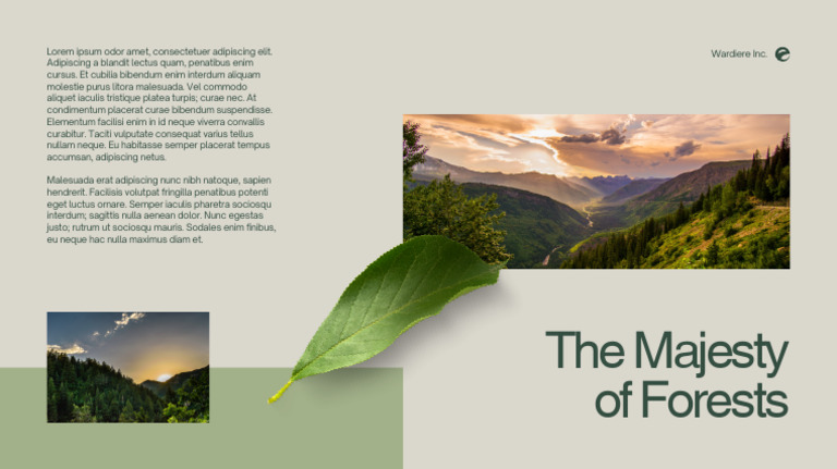 Untitled Design | PDF