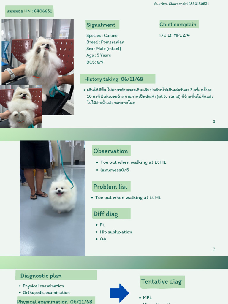 POA g.4 Presentation.pdf | PDF