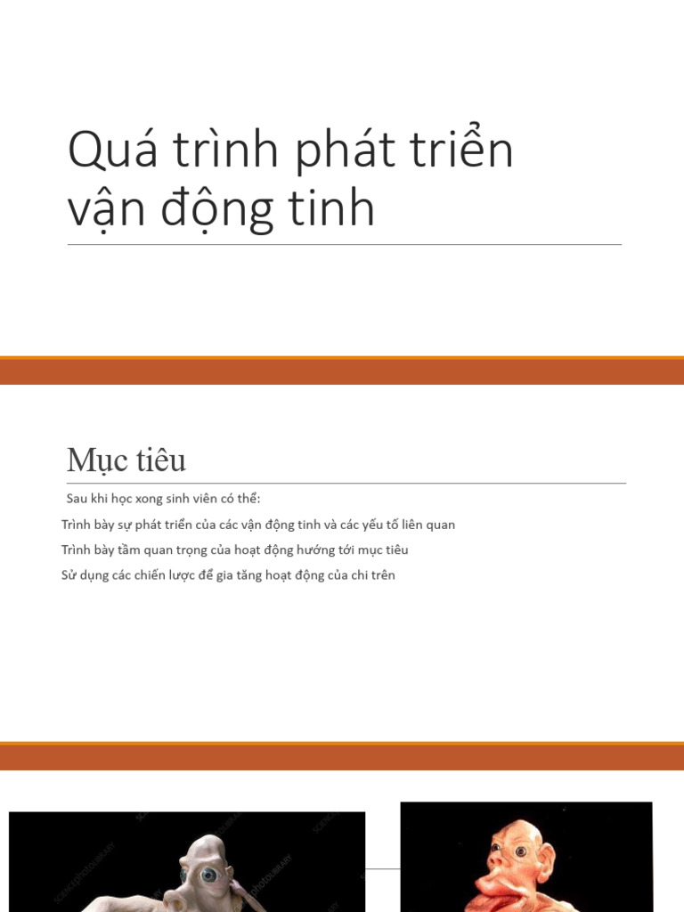QUA TRINH PHAT TRIEN VAN DONG TINH-Duy | PDF