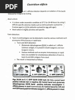 Xpert C.difficile ENGLISH Package Insert 300-8023 Rev. G | PDF ...