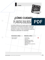 Pa-Ma06 - Como Cuidar Plantas Bulbosas