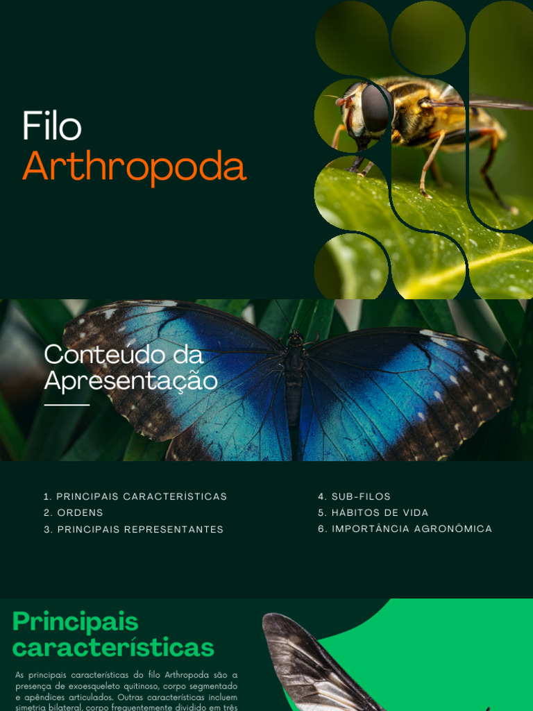 Filo Arthropoda | PDF | Agricultura | Insetos