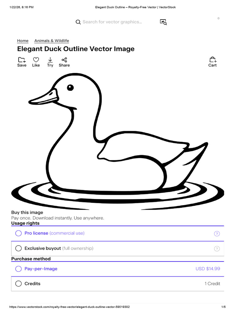 Elegant Duck Outline - Royalty-Free Vector - VectorStock | PDF ...