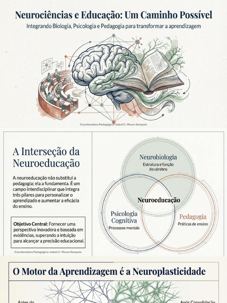 Neuroeducação | PDF