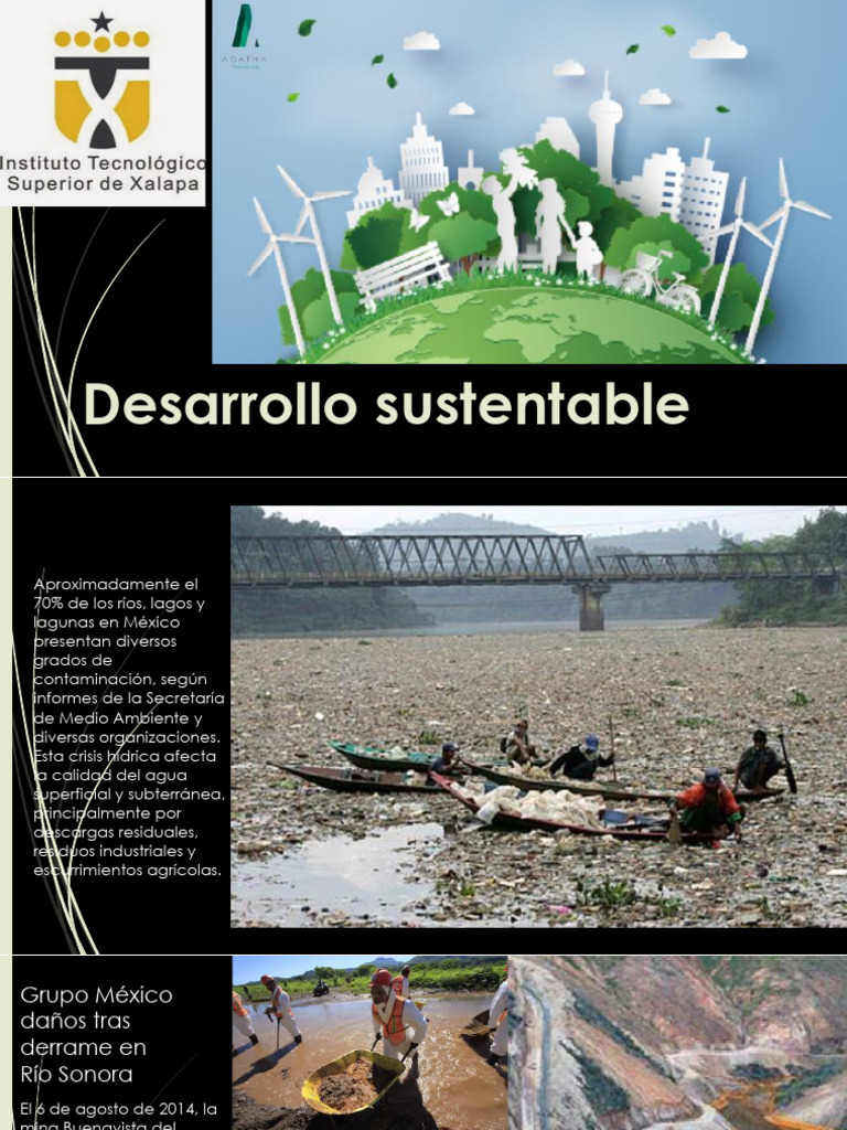 Desarrollo Sustentable Unidad 1 | PDF | Sustentabilidad | Entorno natural