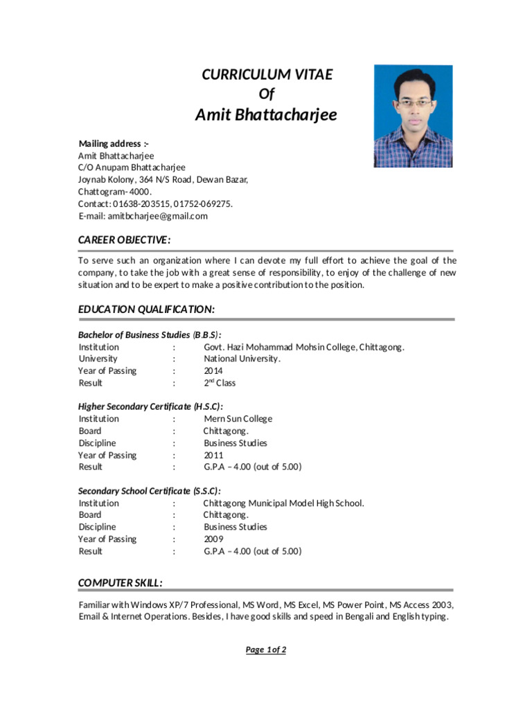 My CV (PDF File) | PDF