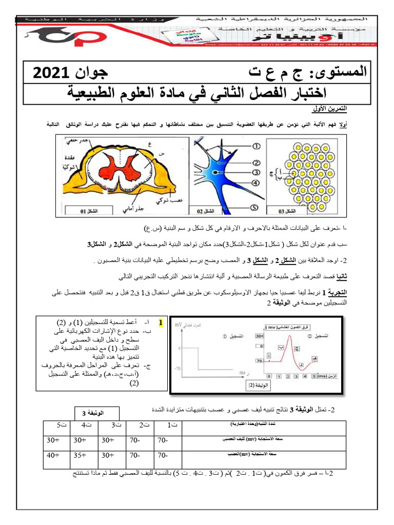 Dzexams 1as Sciences 1564659 | PDF