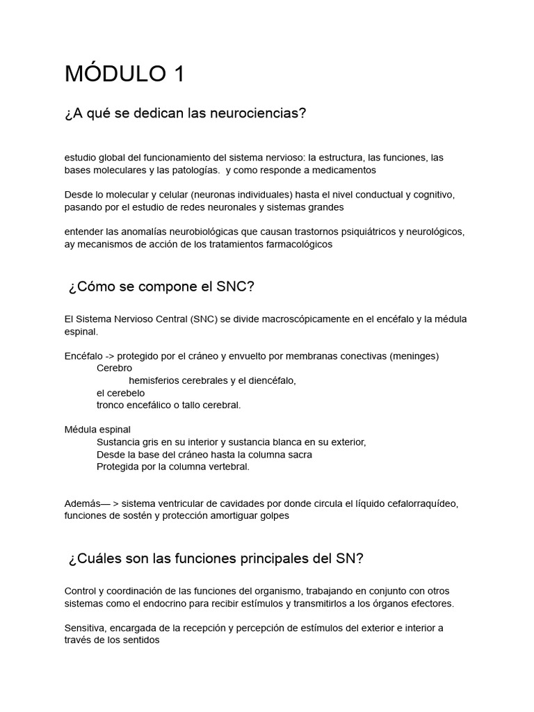Guía de Preguntas Neurociencias | PDF | Sinapsis | Potencial de acción