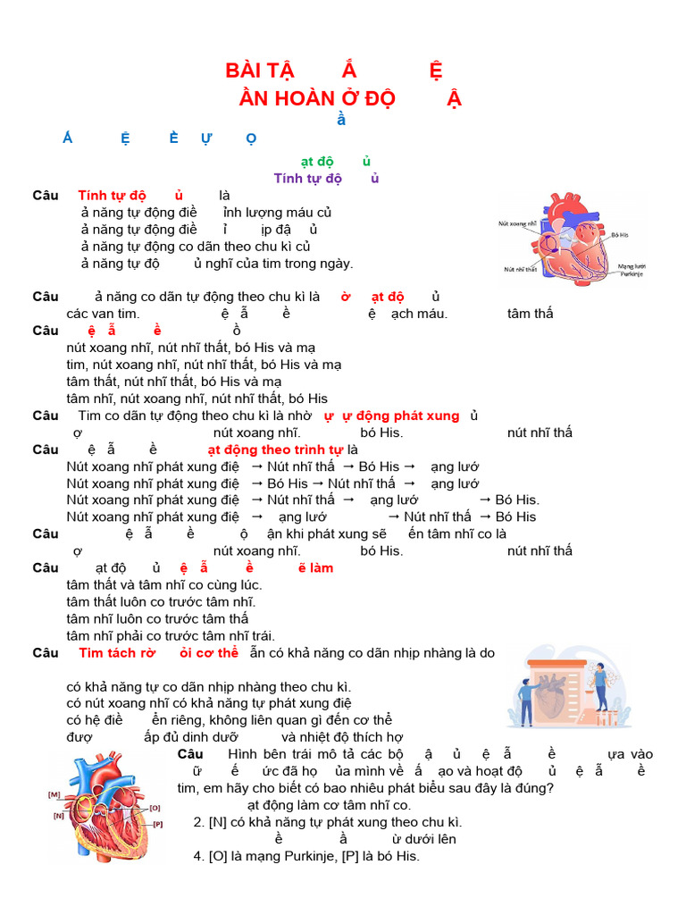 Tuần Hoàn 4 - Ok | PDF
