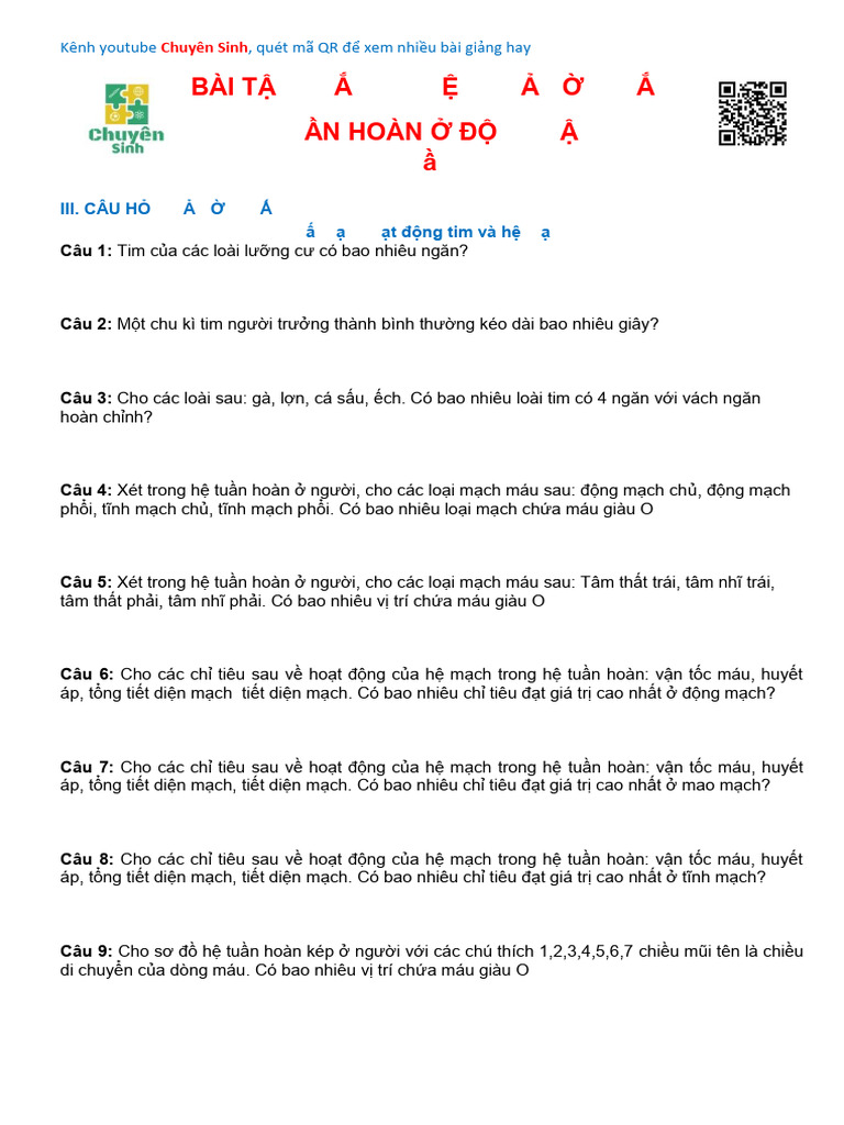 Tuần hoàn TLN 2 - ok | PDF