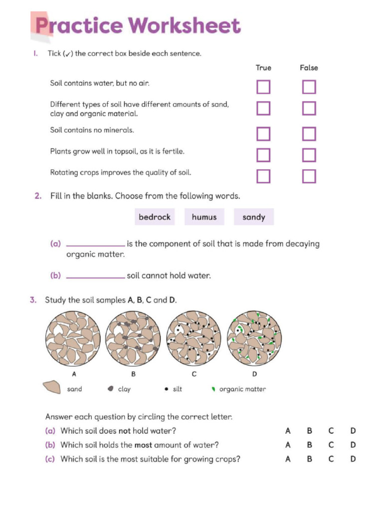 Chapter 11 Student's Book | PDF