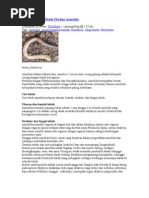 Download Mengenal Seluk Beluk Phylum by ku2hoke SN9937589 doc pdf
