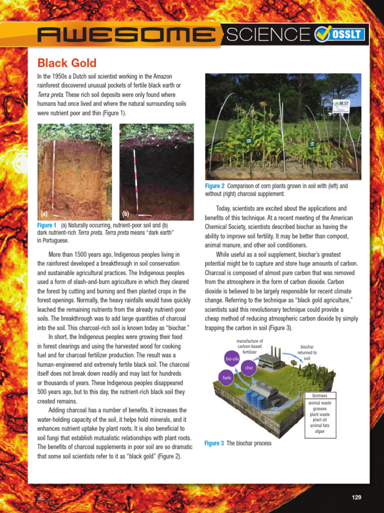 Chapter 4 Awesome Science Nelson Textbook | PDF | Soil | Soil Fertility