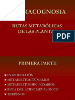  Rutas Metabolicas en Plantas