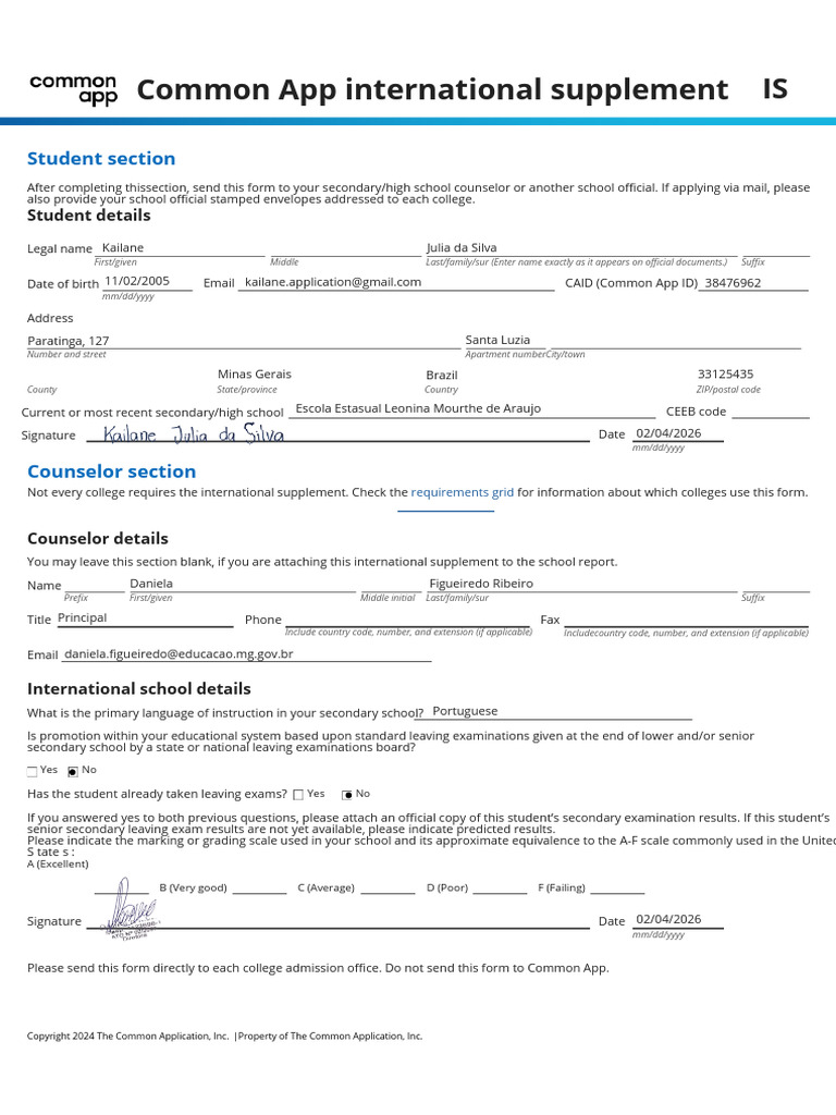 Common App International Supplement | PDF