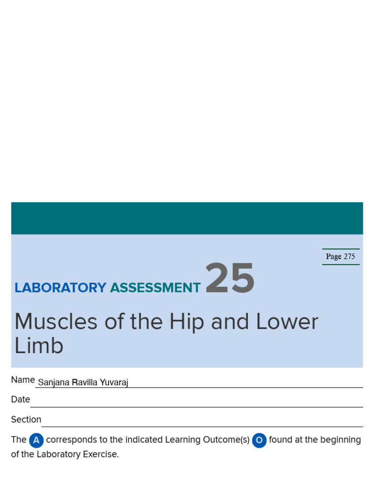 Lab Assess 25 Muscles of Hip Lower Limb | PDF | Human Leg | Foot