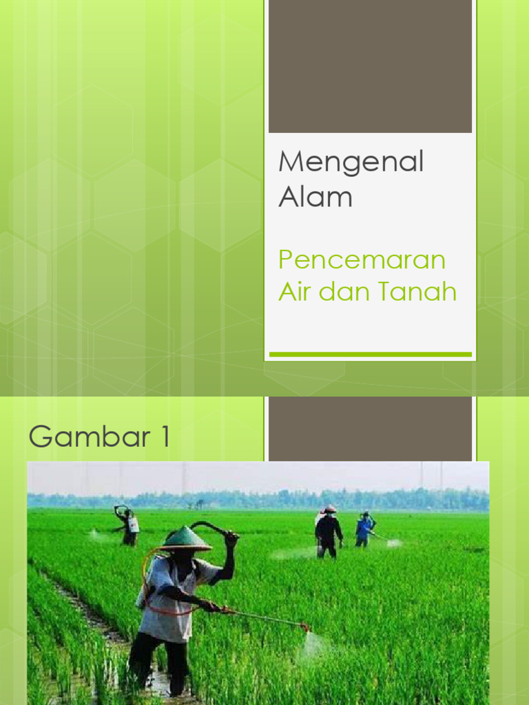 Pencemaran Air Dan Tanah | PDF