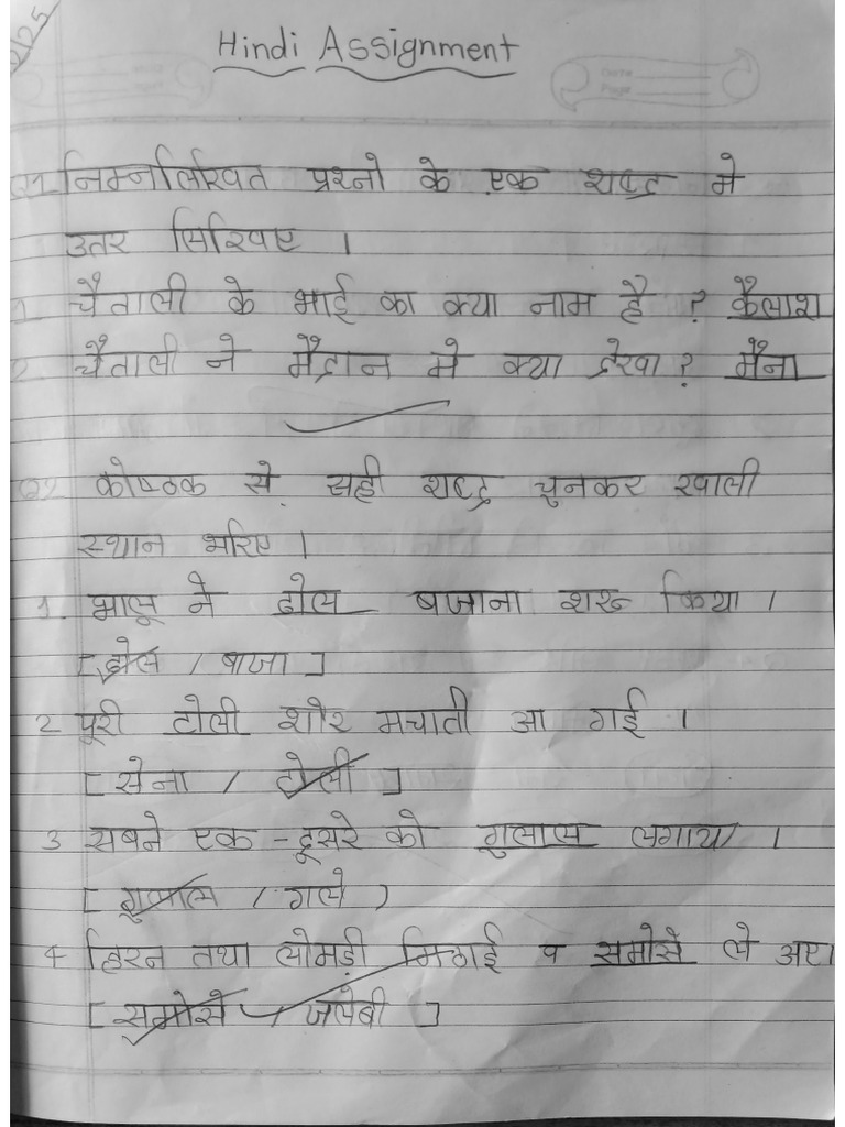 Std 3rd Hindi Assignment | PDF