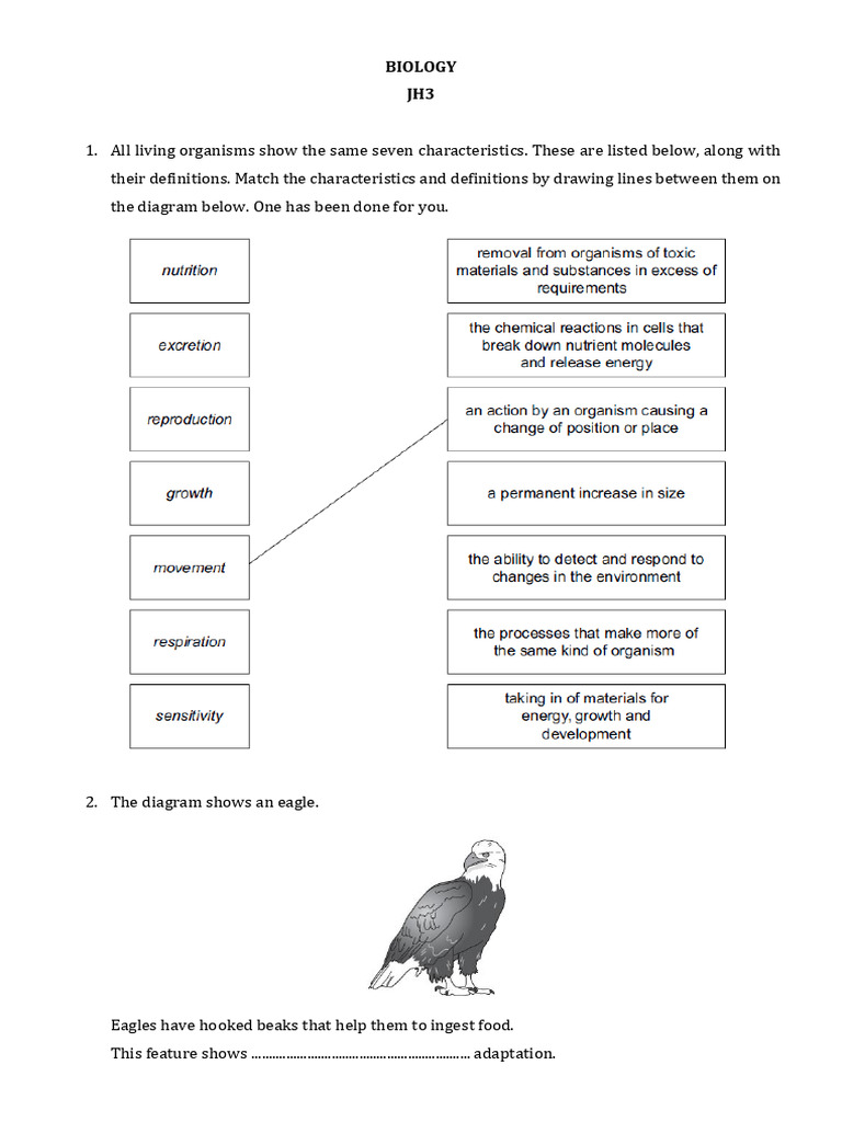 Biology Jh3 to 2 | PDF | Plants | Biology