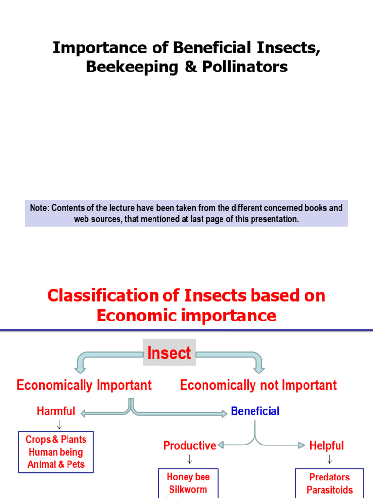Lec 1,2,3 | PDF | Honey Bee | Bees