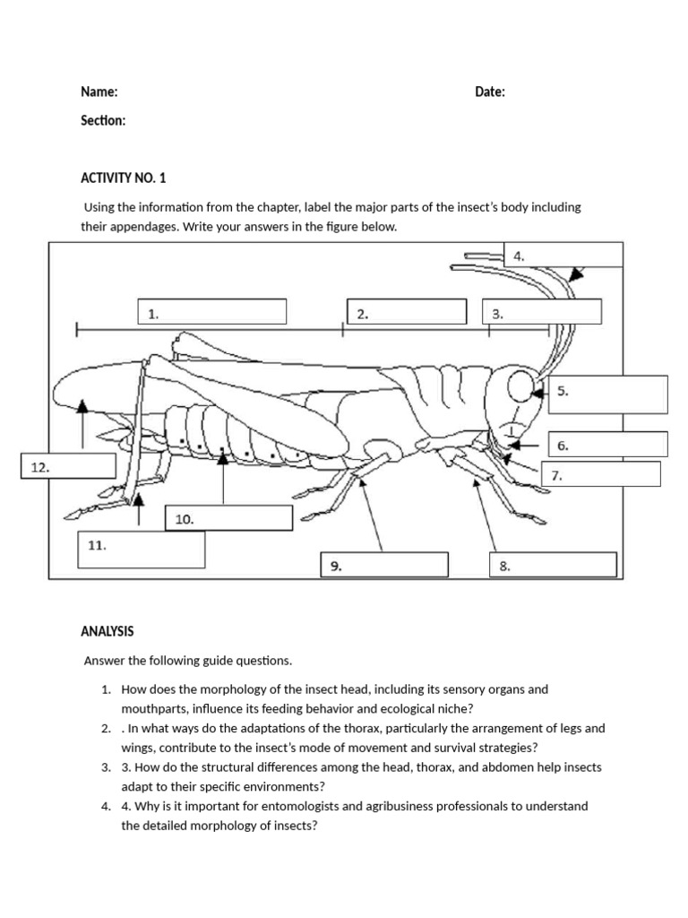 ENTOM-ACT-1 | PDF