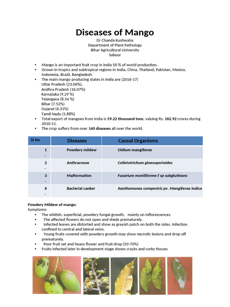 Diseases of Mango App321 | PDF | Plants | Organisms