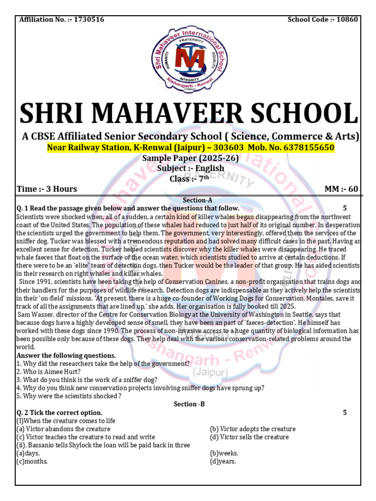 Sample Paper (English) | PDF